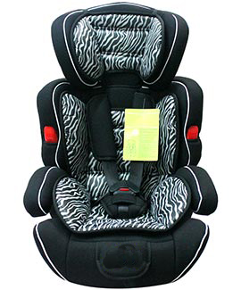 bxs 208 car seat